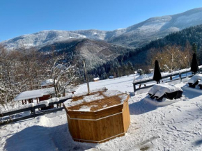 Romanka, Żabnica